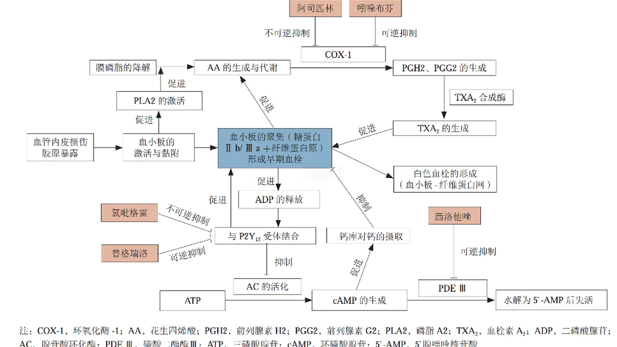 阿那格雷不同版本对比图